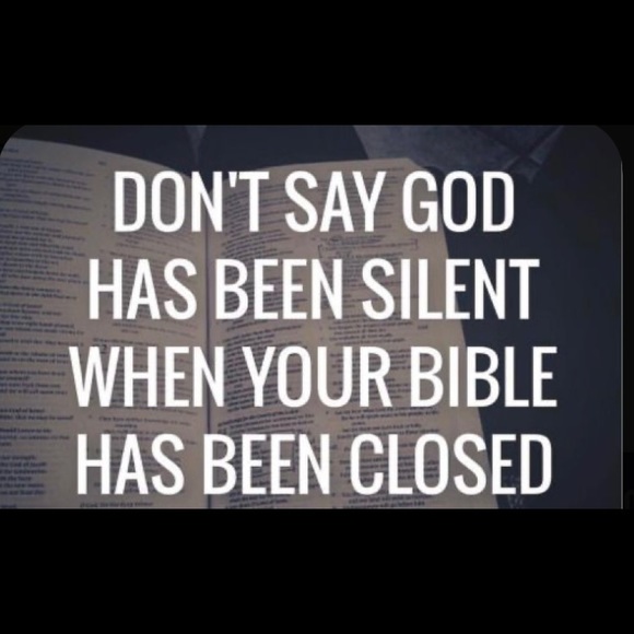 Meet your Posher, Savannah - Picture 4 of 14